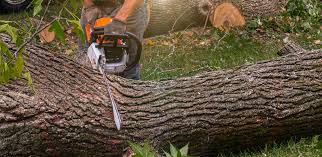 Soil Testing and Treatment in West Cape May, NJ