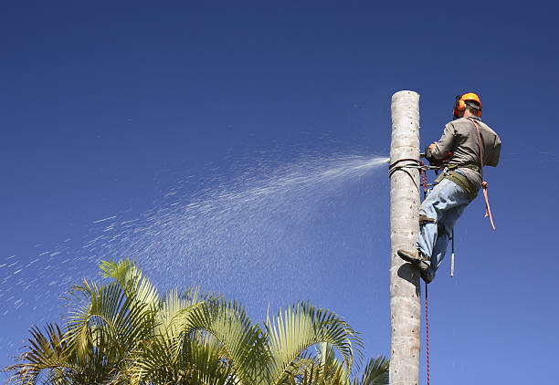 Mulching Services in West Cape May, NJ